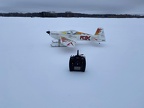 Freeze Fly