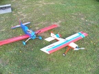 Electric Fly