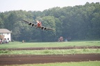 IMG 4985