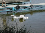 Float Fly