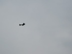 Warbird Fly In 7