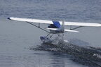 Float Fly