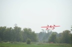 IMG 5142